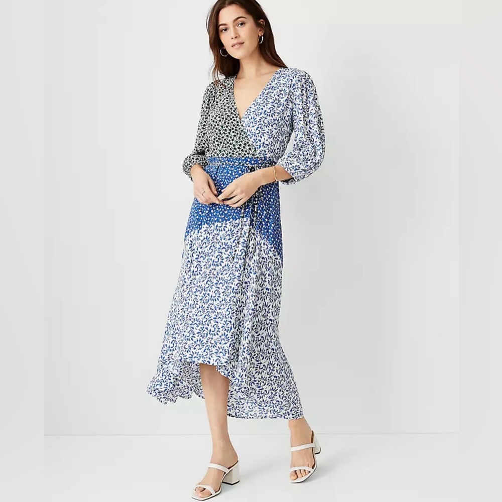 Ann Taylor Multiprint Dress